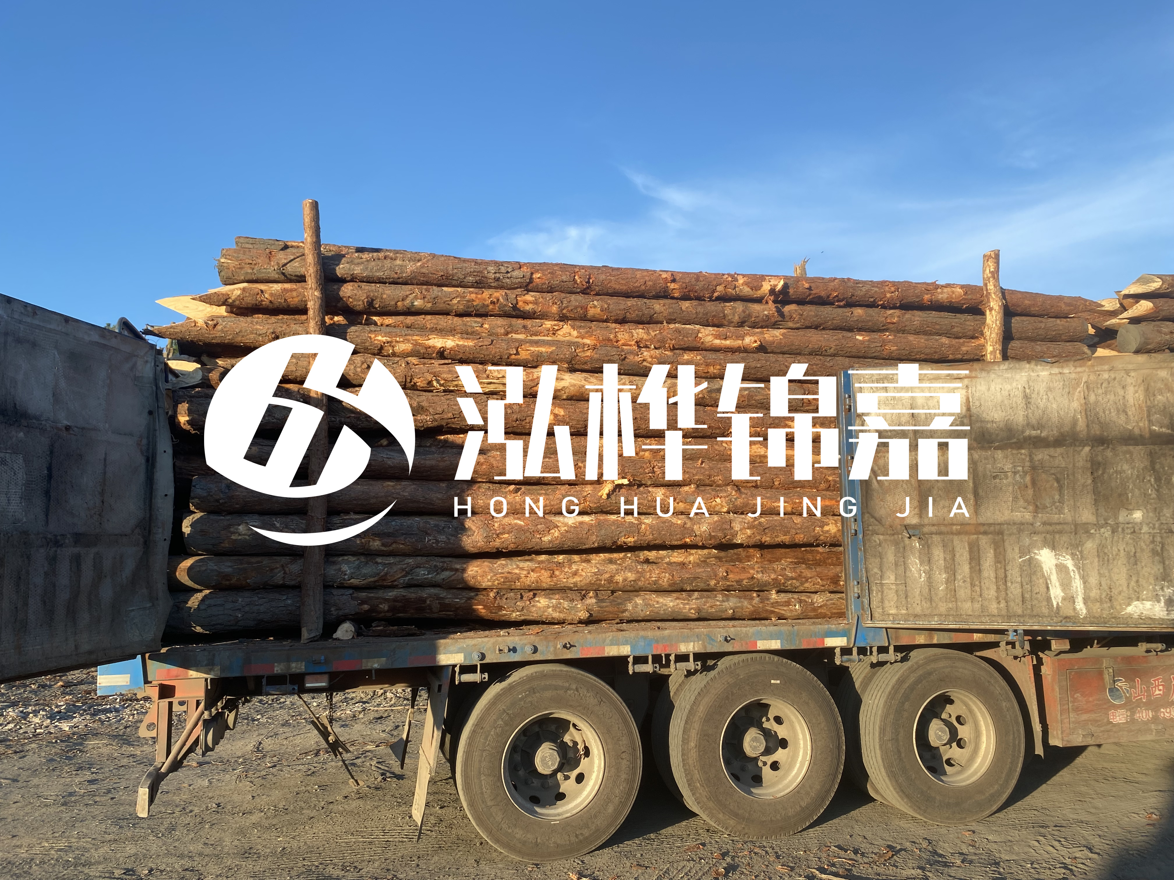河道治理為什么要用松木樁？