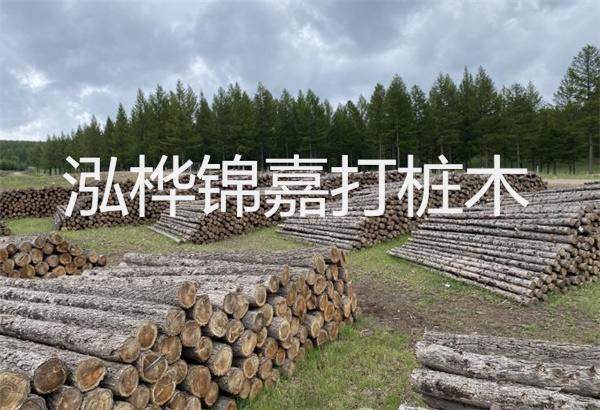 松木樁施工評(píng)定表，保障工程質(zhì)量與安全